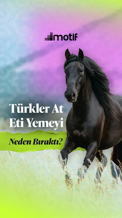 Türkler at eti yemeyi neden bıraktı?, kapak