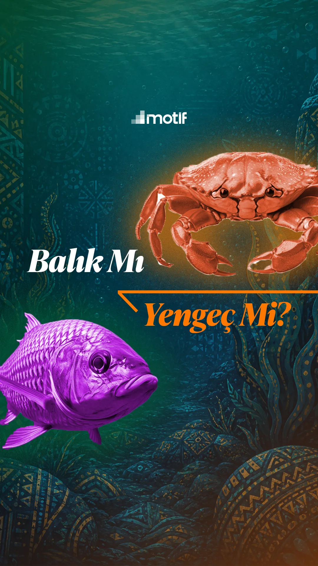 Balık mı, Yengeç mi?, kapak