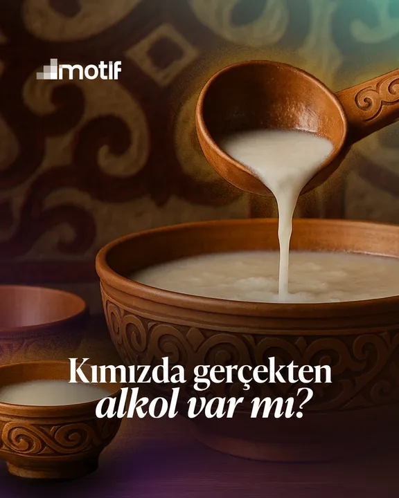 Kımızda Gerçekten Alkol Var mı?, kapak