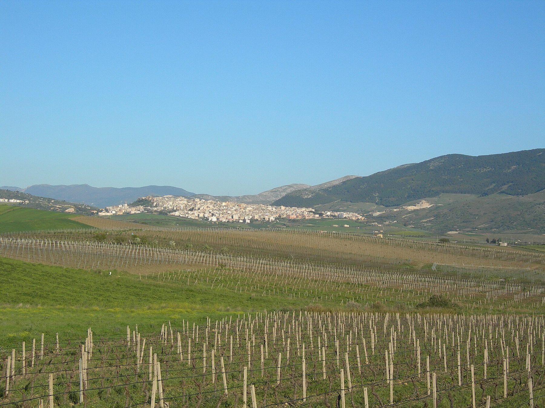 Sambuca di Sicilia kasabasının görünümü